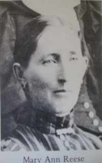 Mary Ann Morse (1857 - 1921) Profile